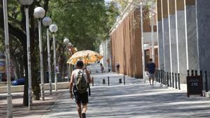 Tardor càlida «històrica»: el canvi climàtic intensifica els estiuets de Sant Miquel