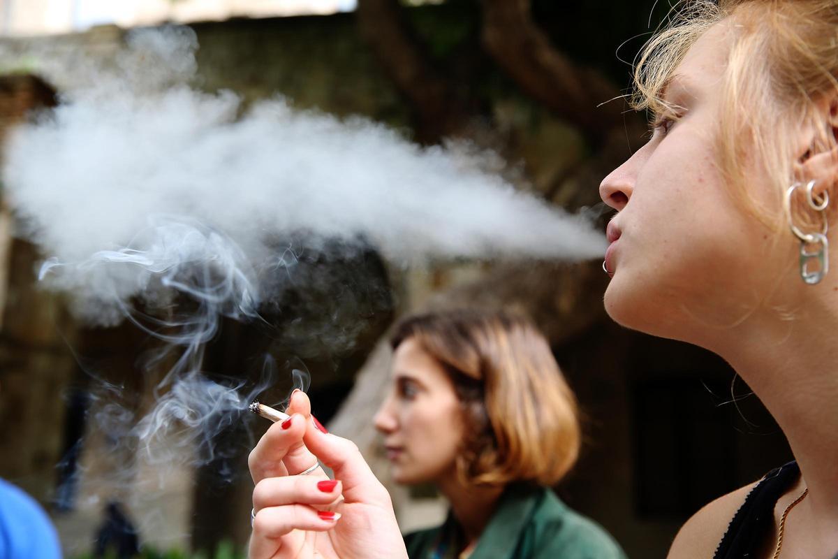 Herba de merda Herba de merda