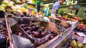 El Govern preveu per a aquest any la llei que vetllarà pels aliments de proximitat