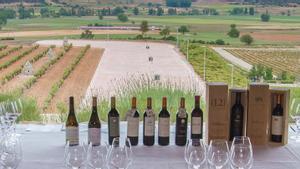Una ruta per 10 cellers per celebrar els 40 anys de la DO Ribera del Duero