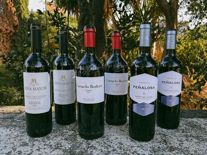 Joies de la Ribera del Duero