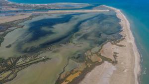 Teresa Jordà, sobre el delta de l’Ebre: «En poc temps hi pot haver refugiats climàtics catalans»