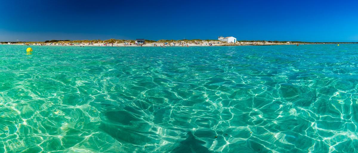 Un cocodril a la platja Un cocodril a la platja